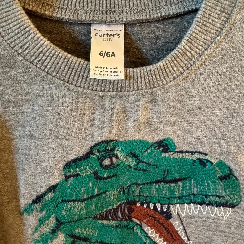 Kids Embroidered Dinosaur Sweatshirt - Picture 3 of 3